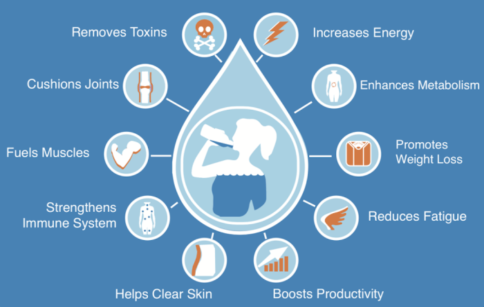 Benefits of adequate hydration for overall health